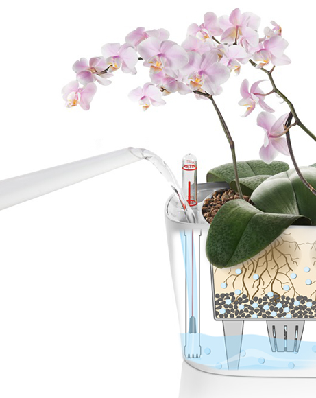 idrocoltura-indicatore-livello-acqua-orchidea