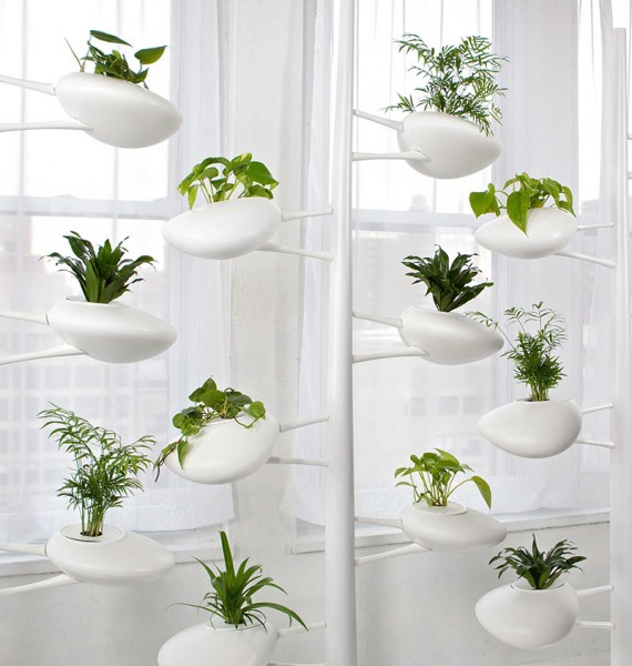 piante-coltura-idroponica-idea-design