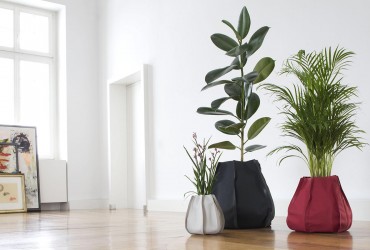piante-in-idrocoltura-arredamento